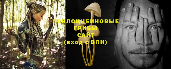 PSILOCYBIN Мегион