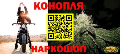 индика Азнакаево