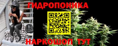 2c-b Гатчина