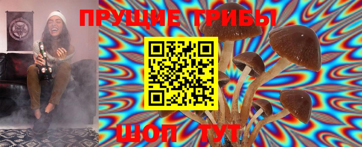 Югорск  Псилоцибиновые грибы Psilocybe  Вход с VPN 